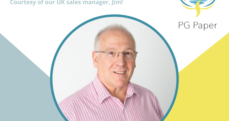 successful sales person
