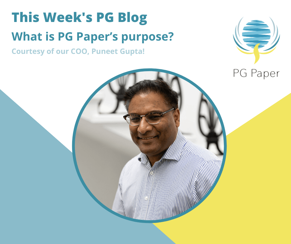 What is Pg Paper's purpose