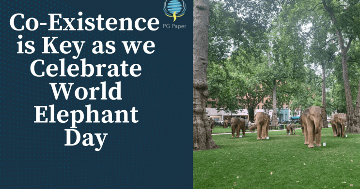 World Elephant Day