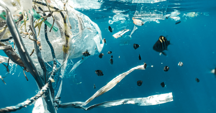 plastic pollution