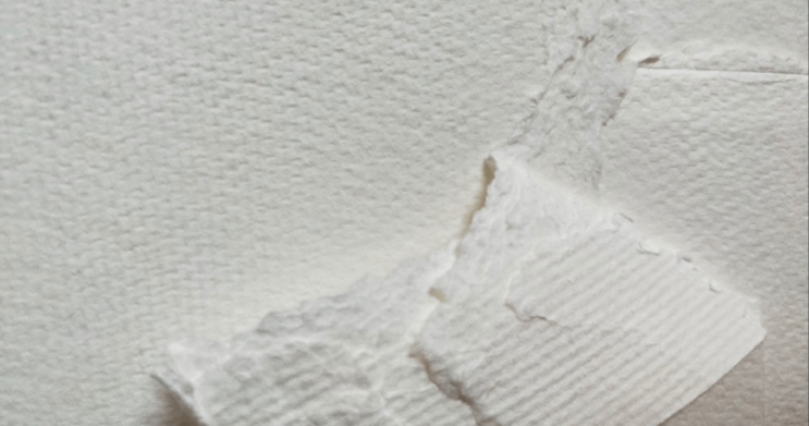 Image of hardwood pulp